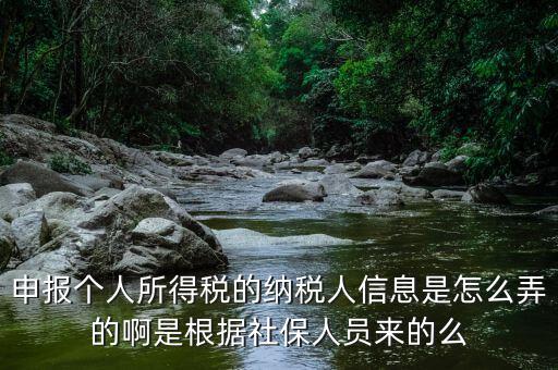 納稅人信息包括什么，申報個人所得稅的納稅人信息是怎么弄的啊是根據(jù)社保人員來的么