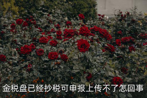 金稅盤(pán)已經(jīng)抄稅可申報(bào)上傳不了怎回事