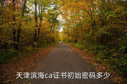 天津ca密碼是什么意思，天津社保卡初始密碼是多少啊 我是中國銀行的