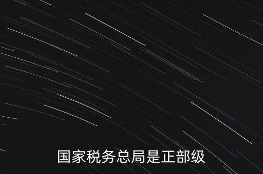 稅務大廳主任什么級別，金河鎮(zhèn)稅務務局局長是什么級別