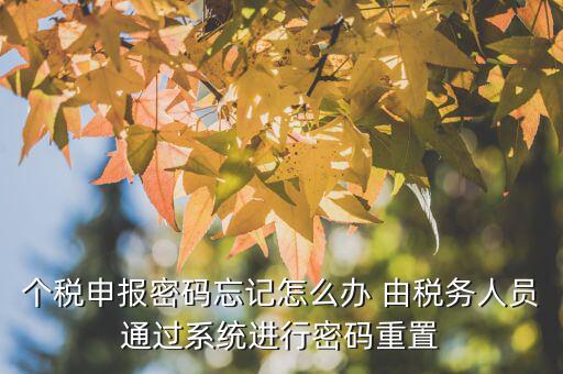 地稅重置密碼需要什么，重置個稅申報密碼需要什么