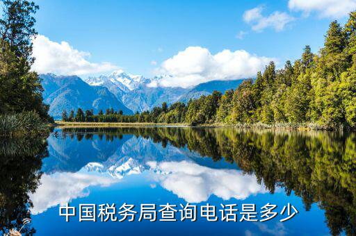 福建國稅查找打什么電話，國稅電話