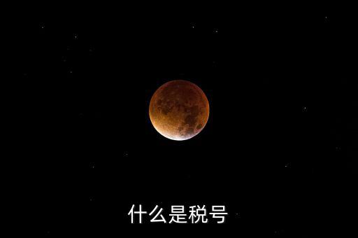 陜西省國家稅務(wù)局稅號是什么，什么是稅號