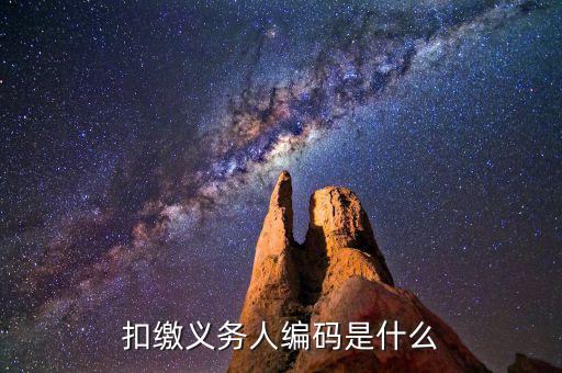 個稅系統扣繳義務人編碼是什么，扣繳義務人編碼是什么