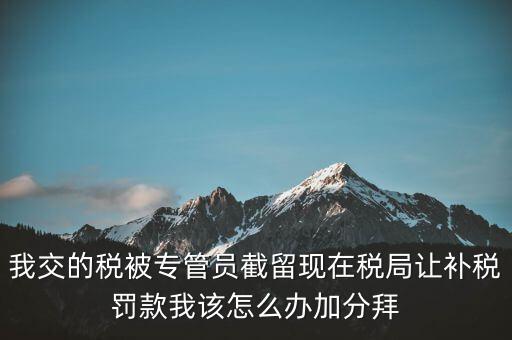 稅務(wù)人員截留稅款受什么處分，我交的稅被專管員截留現(xiàn)在稅局讓補(bǔ)稅罰款我該怎么辦加分拜