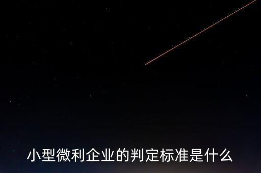 小型微利企業(yè)的判定標準是什么