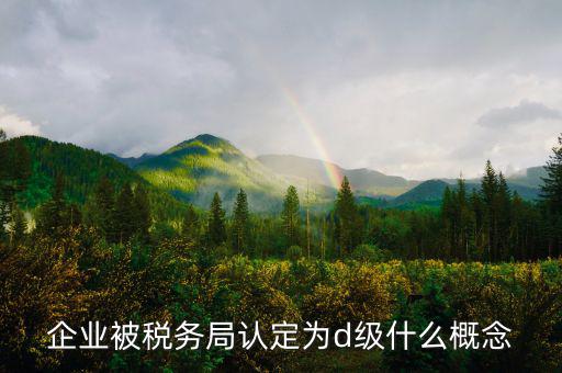 企業(yè)被稅務(wù)局認定為d級什么概念