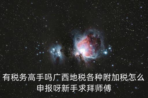 廣西地稅每個月要申報什么內(nèi)容，有稅務高手嗎廣西地稅各種附加稅怎么申報呀新手求拜師傅