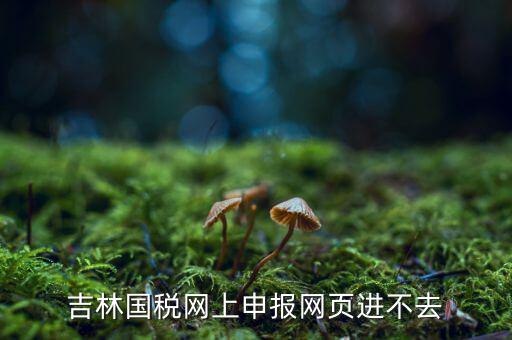 吉林省國稅上不去為什么，吉林省國家稅務(wù)局晚上申報 無法安全登陸