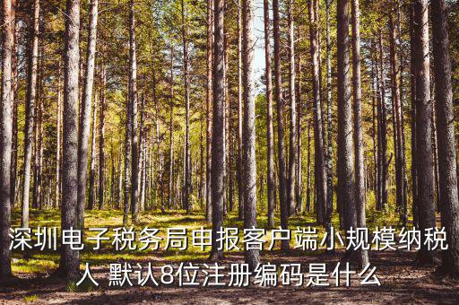 深圳納稅人編號是什么，什么是深圳市國稅百元開頭發(fā)票的納稅人識別號