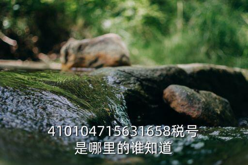 河南省的稅號(hào)是什么意思，410104715631658稅號(hào)是哪里的誰知道