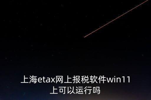 上海網上報稅什么軟件，上海etax網上報稅軟件win11上可以運行嗎