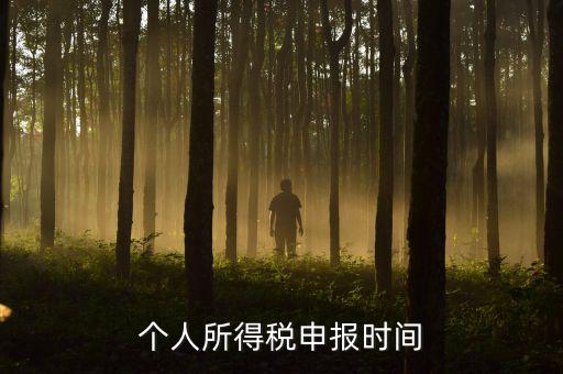 代扣代繳的個(gè)稅什么時(shí)候申報(bào)，個(gè)人所得稅申報(bào)時(shí)間