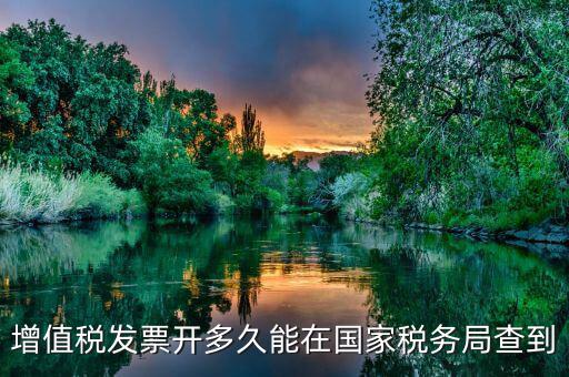 增值稅發(fā)票開(kāi)多久能在國(guó)家稅務(wù)局查到