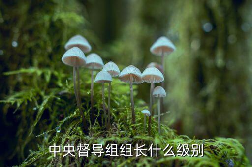 稅務(wù)督導(dǎo)組組長什么級別，縣委縣政府督察組組長行政級別具體工作是什么