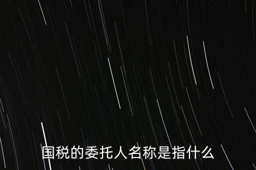 國(guó)稅的委托人名稱(chēng)是指什么