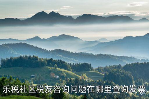 稅友服務(wù)器地址是什么，樂稅社區(qū)稅友咨詢問題在哪里查詢發(fā)票