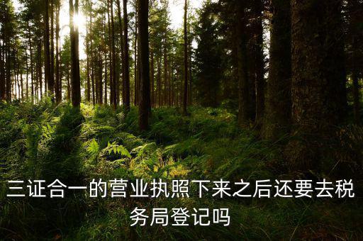 辦完三證合一 要去稅局做什么，三證合一后還需要去國地稅做些什么啊