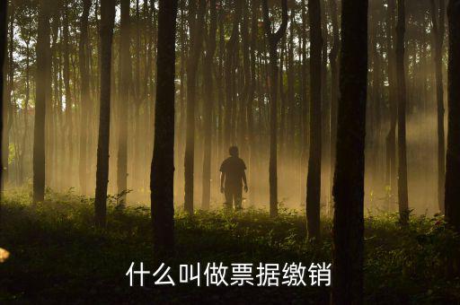 什么是繳銷發(fā)票，繳銷發(fā)票是什么意思啊是第個(gè)月作廢的發(fā)票都必須當(dāng)月繳銷嗎還是怎