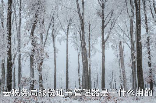 地稅證書管理網(wǎng)是什么，去稅務(wù)局報(bào)稅證書管理器是干什么用的