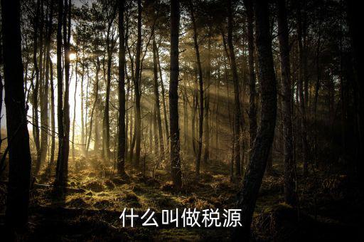 稅源標(biāo)志是什么，什么叫做稅源