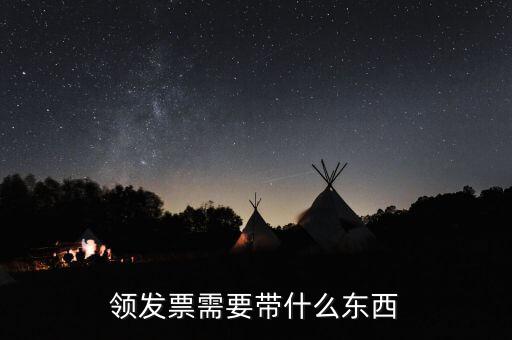 發(fā)票領(lǐng)用簿 需要什么資料，領(lǐng)發(fā)票需要帶什么東西