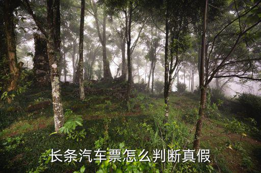 長條國稅車票什么樣子，國稅長途汽車票什么樣