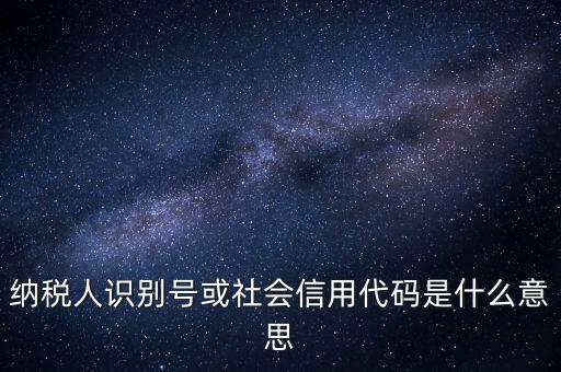 納稅人識(shí)別號或社會(huì)信用代碼是什么意思