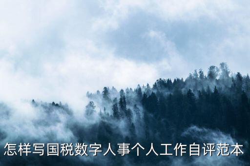 國稅數(shù)字人事是什么，專業(yè)的除了可以考會(huì)計(jì)證和證券從業(yè)資格證以為還可以考什么證
