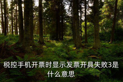 稅控手機(jī)開(kāi)票時(shí)顯示發(fā)票開(kāi)具失敗3是什么意思
