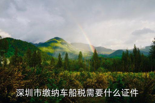 深圳市繳納車(chē)船稅需要什么證件