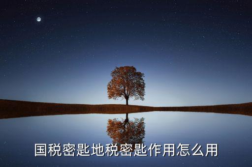 地稅密鑰是干什么的，國稅密匙地稅密匙作用怎么用