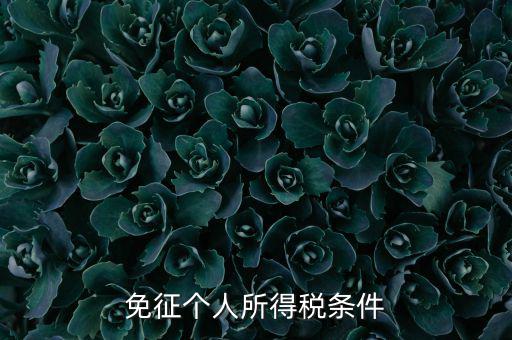 四業(yè)免征個人所得稅有什么要求，個人所得稅減免稅有哪些要求