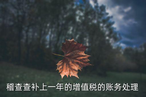 稽查補什么稅，請問被國稅局稽查局查處補交增值稅所得稅及滯納金計入應(yīng)哪個科目