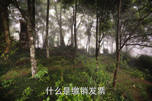 發(fā)票繳銷(xiāo)是指什么，什么是繳銷(xiāo)發(fā)票