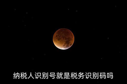 稅務(wù)標(biāo)識符是什么意思，納稅人識別碼是什么