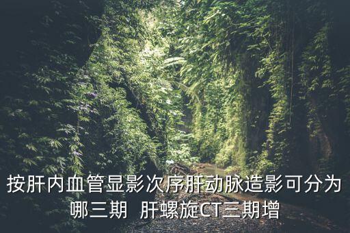 為什么要做三期增強(qiáng)，按肝內(nèi)血管顯影次序肝動(dòng)脈造影可分為哪三期  肝螺旋CT三期增