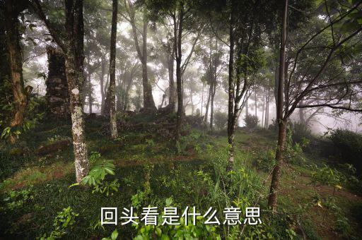 稅務(wù)回頭看什么意思，被稅務(wù)局風(fēng)險監(jiān)控是什么意思
