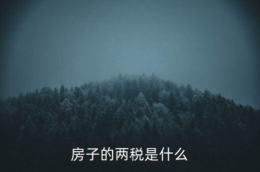 兩稅清查是指什么，房子的兩稅是什么