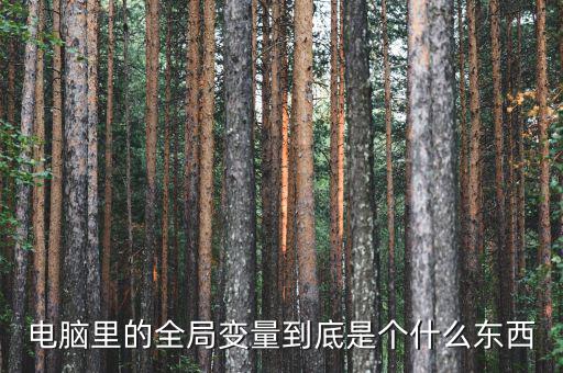 全局是什么意思，什么是指導(dǎo)全局工作決定全局命運(yùn)的方針?lè)绞胶陀?jì)劃