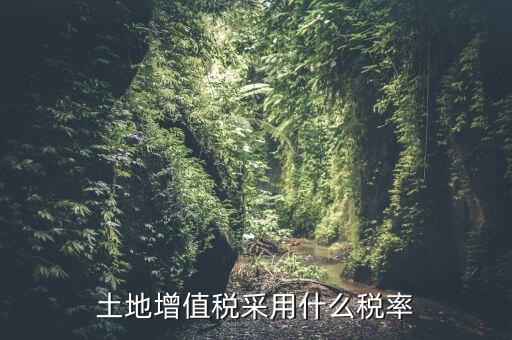 土地增值稅用什么稅率，土地增值稅采用什么稅率