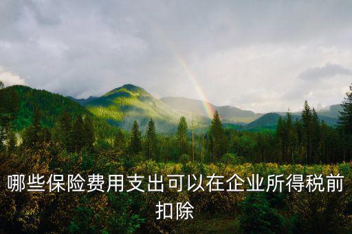 什么保險可以稅前扣除，哪些保險費(fèi)用支出可以在企業(yè)所得稅前扣除