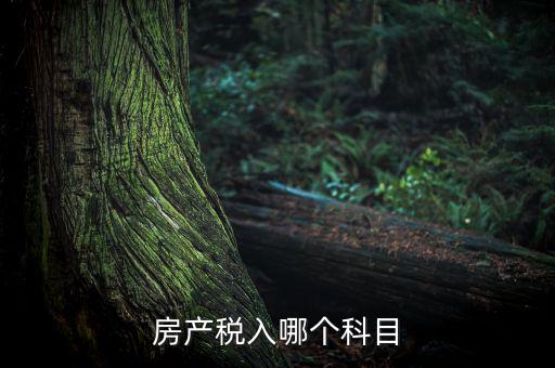 房產稅入哪個科目