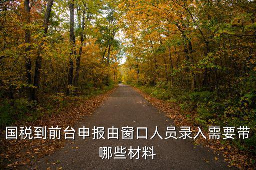 國稅到前臺(tái)申報(bào)由窗口人員錄入需要帶哪些材料