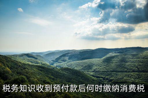 消費(fèi)稅是什么時候交，各種稅費(fèi)交納時間