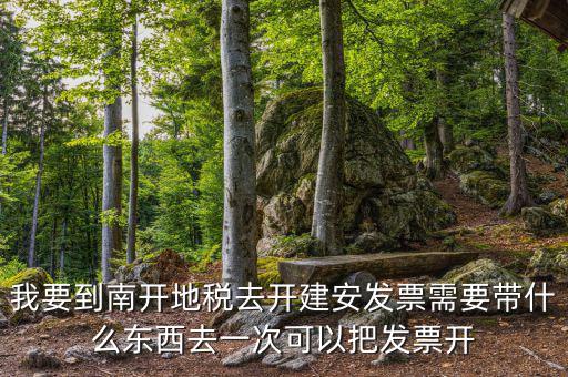 建安開票要提供什么，在國稅局開建安發(fā)票需要提交什么資料