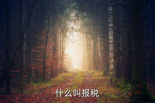 云廳報稅是什么，手機報稅需要使用什么系統(tǒng)呢