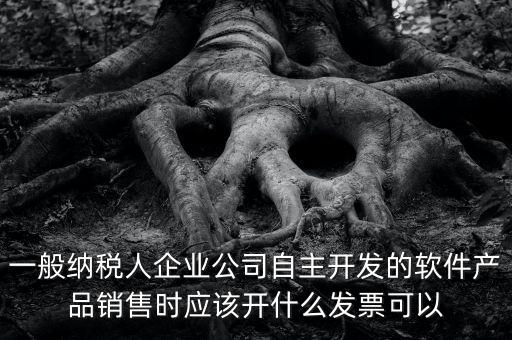 賣軟件交什么稅，一般納稅人企業(yè)公司自主開發(fā)的軟件產(chǎn)品銷售時應(yīng)該開什么發(fā)票可以