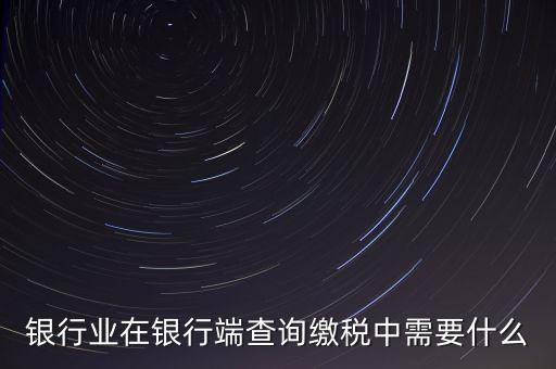 銀行端查詢繳稅要帶些什么，銀行業(yè)在銀行端查詢繳稅中需要什么