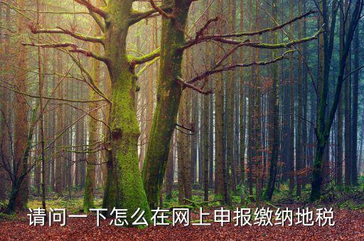 地稅個稅網(wǎng)址是什么，如何查詢個人所得稅明細(xì)